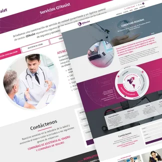 Caso de exito: qtassist.com
